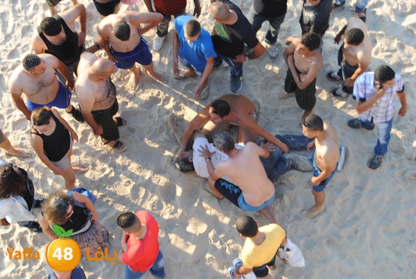 fallen from above 811 (1).JPG